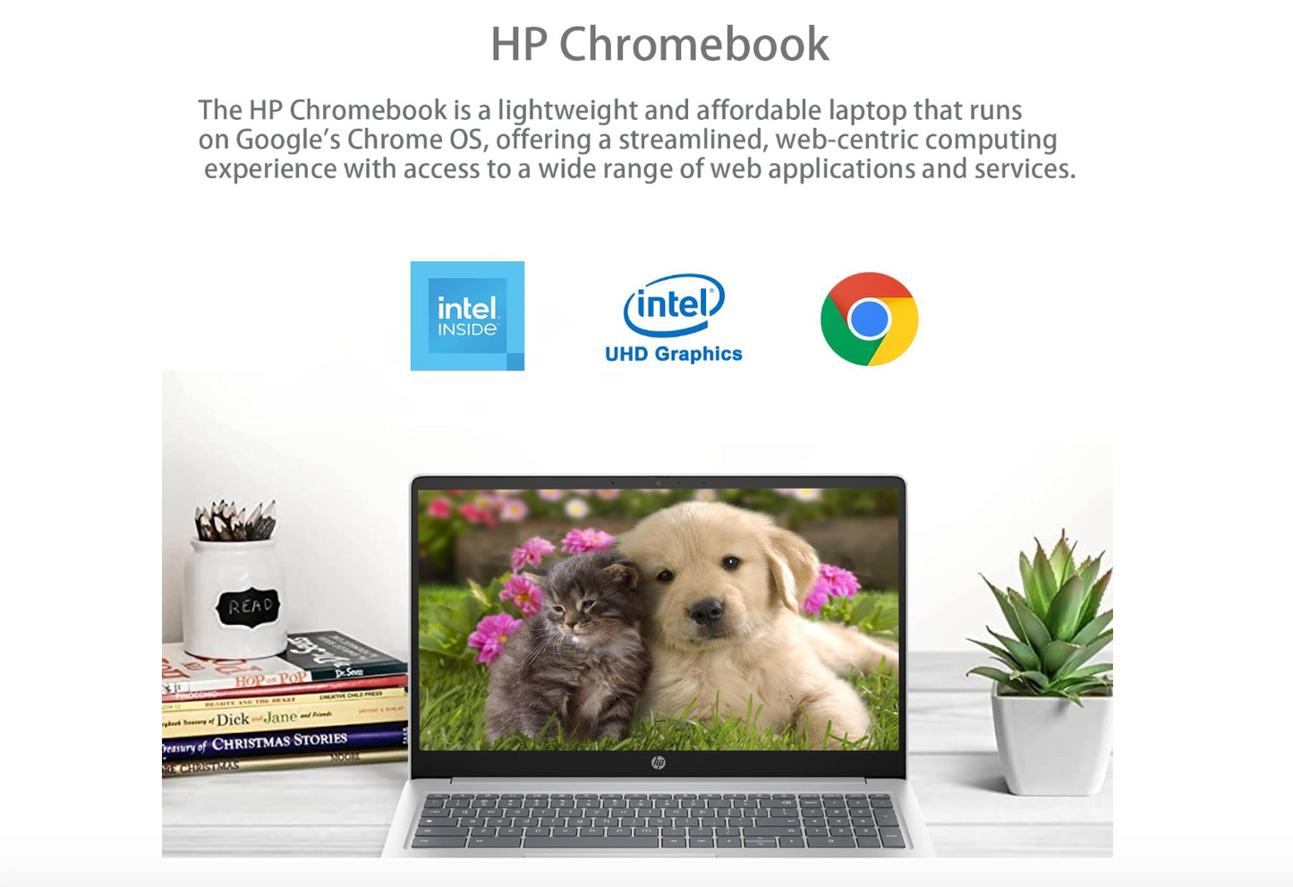 HP - 15.6" Chromebook